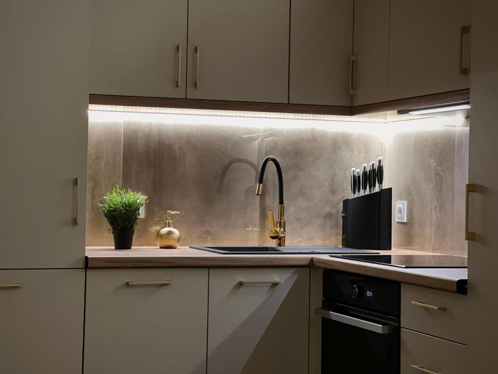 COCO CITY CENTER Apartment - 11