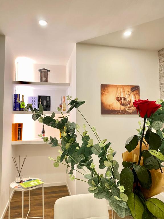 Fotografie z fotogalerie ubytování A&A B&B Bari v Bari