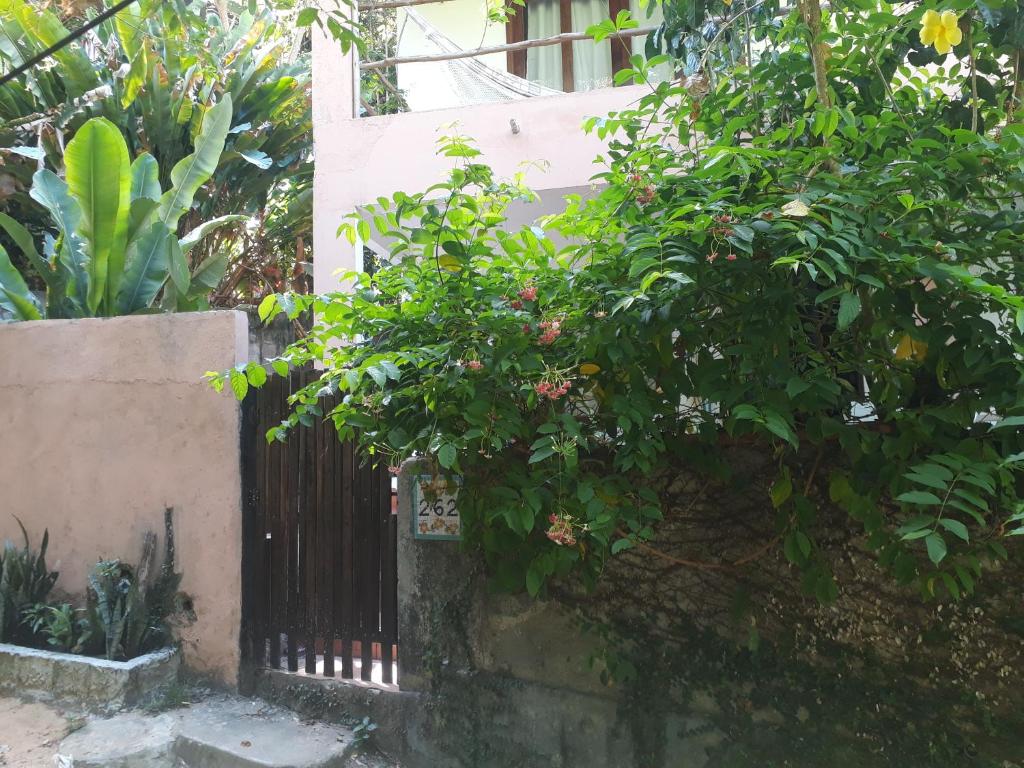 Zahrada ubytování Casa 262