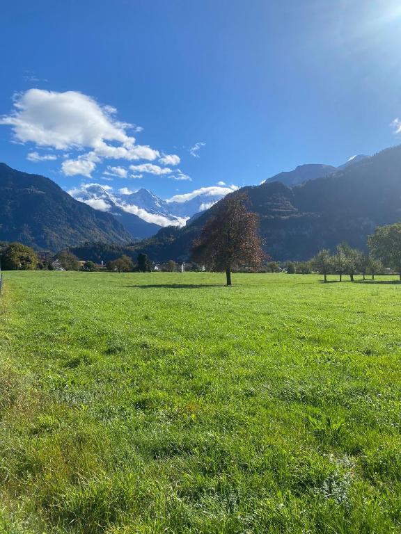 Unique Tiny Eco Lodges with gorgeous views to Jungfrau Massiv - Resim 20