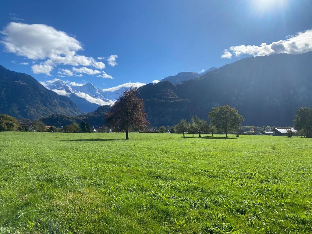 Unique Tiny Eco Lodges with gorgeous views to Jungfrau Massiv - Resim 23