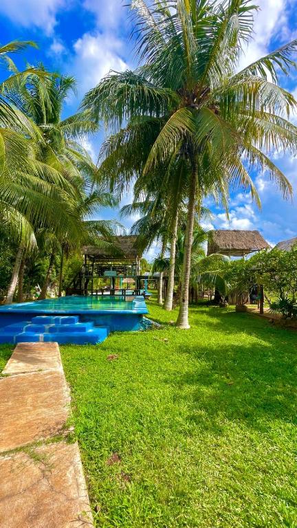 einen Pool mit Palmen im Hof in der Unterkunft Rancho Los Quiñones in Leona Vicario