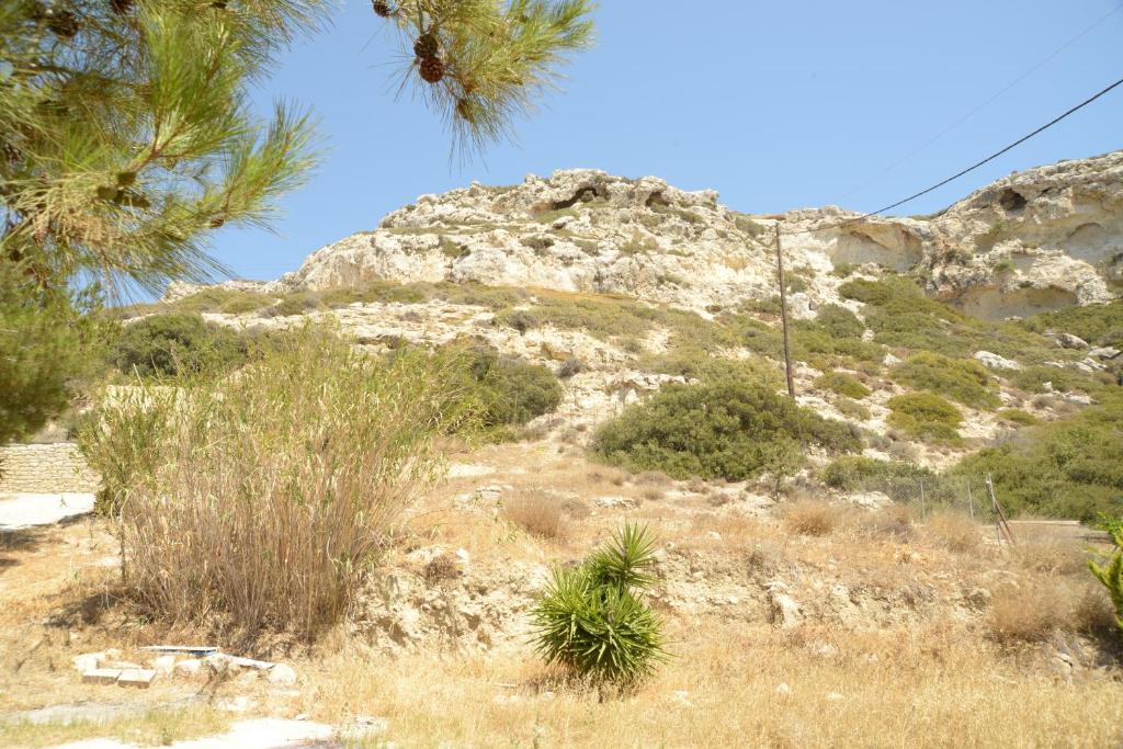 a rocky mountain with trees and plants in the foreground at Villa Sylvia in Matala