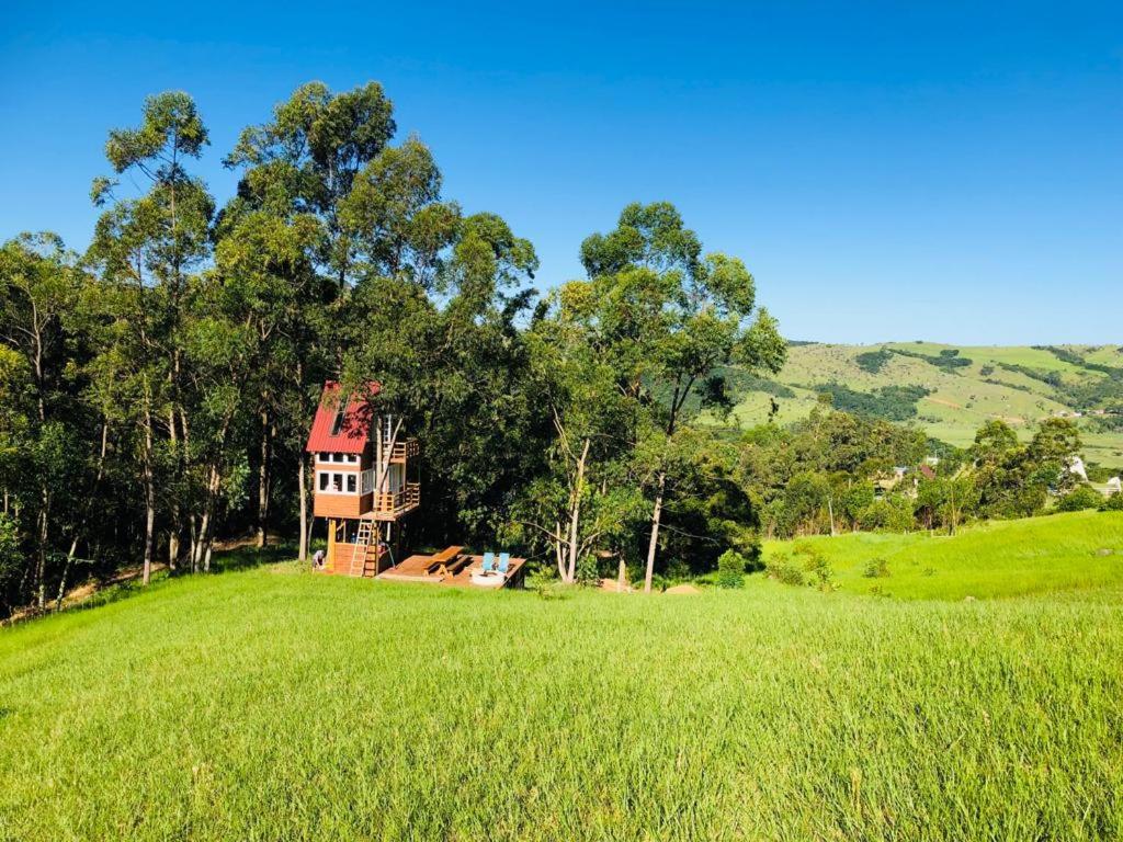 une maison sur une colline dans un champ verdoyant dans l'établissement Casa na árvore perto da praia, à Imaruí