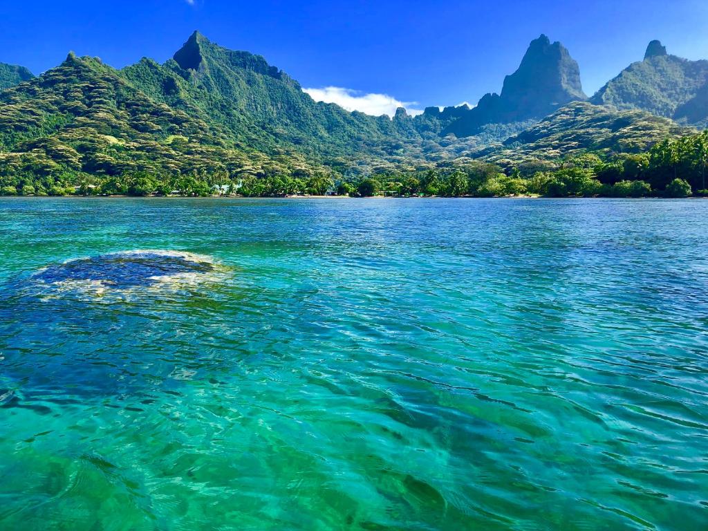 a view of a lake with mountains in the background at Fare Oaoa Haapiti in Moorea