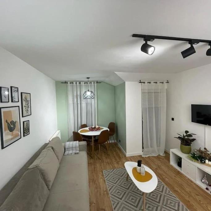 TV a/nebo společenská místnost v ubytování Apartman Element