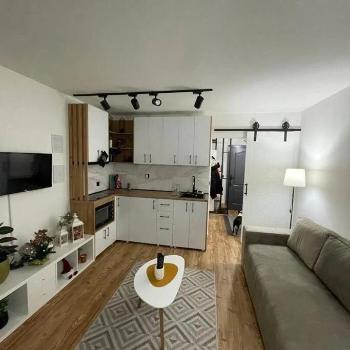 Kuchyň nebo kuchyňský kout v ubytování Apartman Element