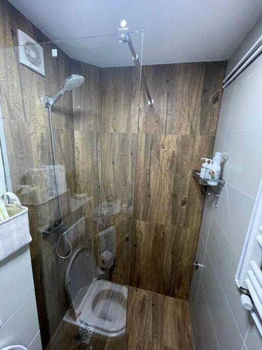Koupelna v ubytování Apartman Element
