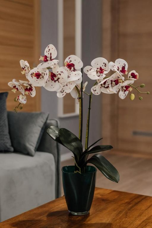 Fotografie z fotogalerie ubytování Apartments & rooms Beli Dvor v destinaci Čačak