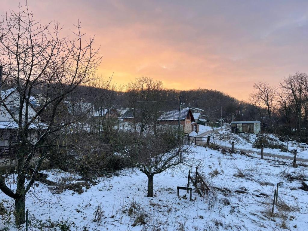 Příroda nedaleko apartmánu