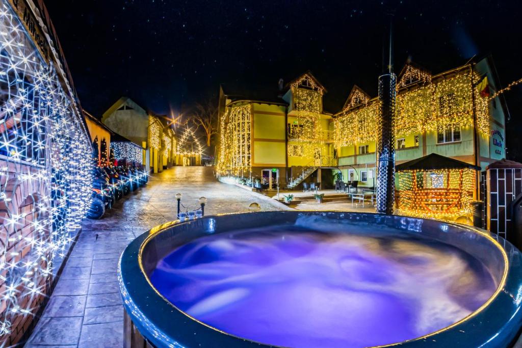 Pensiunea Mihaela-TRANSALPINA - Housity