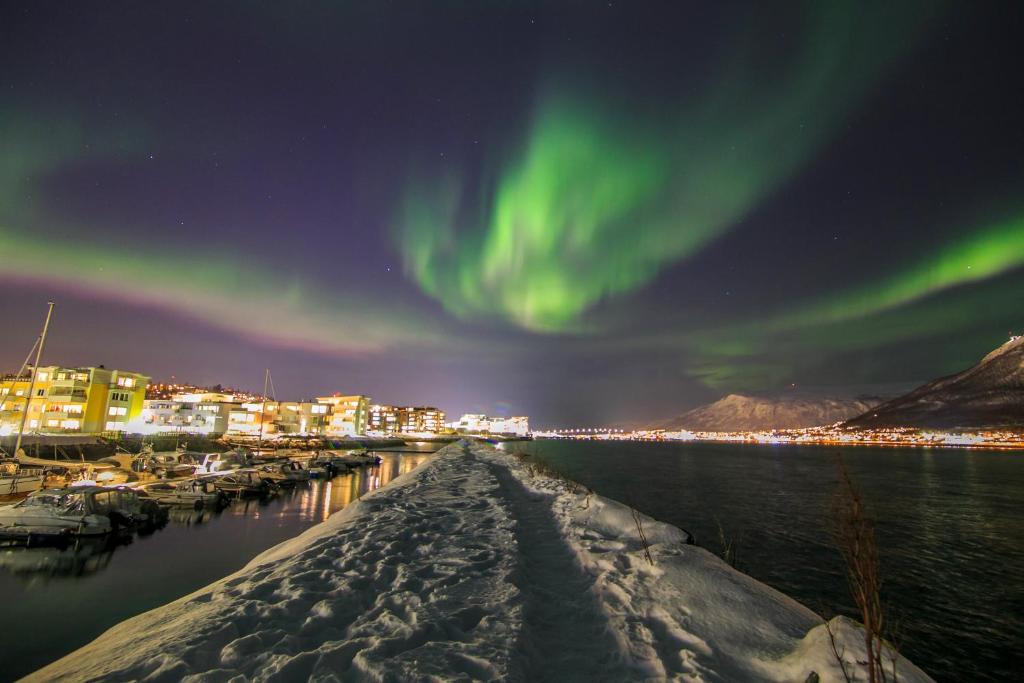 uma imagem da aurora no céu sobre um porto em Strandkanten Panorama em Tromsø