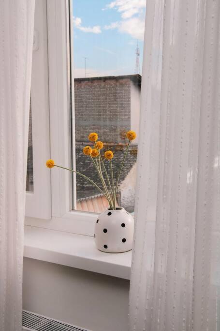 Balkon ili terasa u objektu White apartment
