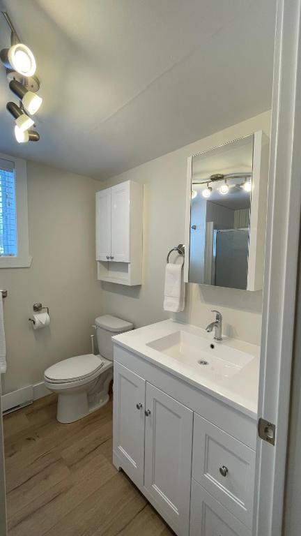 a bathroom with a white sink and a toilet at Le Pimbina in Mont-Tremblant