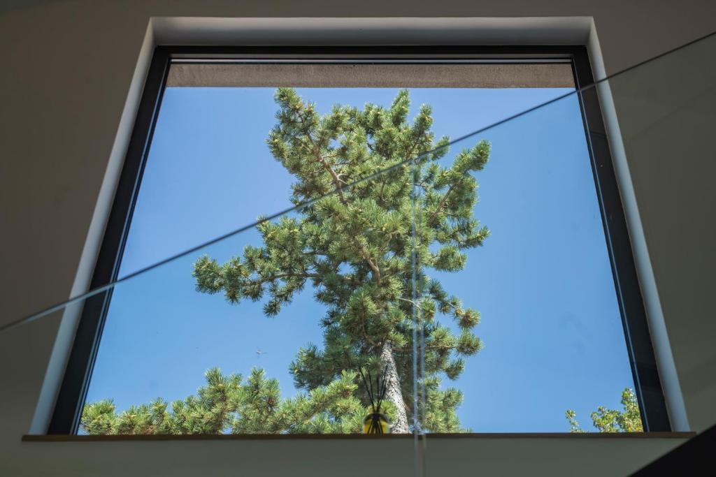 Fotografie z fotogalerie ubytování ARGENTO RESIDENCE v destinaci Zagvozd