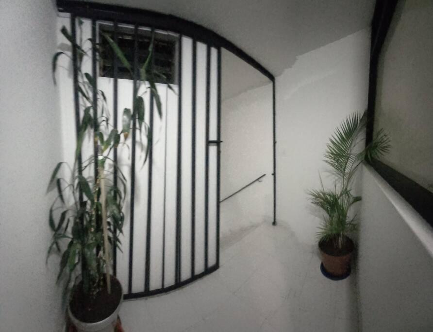 alojamiento cerca centro histórico Popayán.