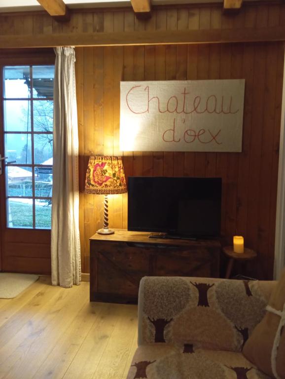 TV a/nebo společenská místnost v ubytování Cozy apartment in the heart of the Alps