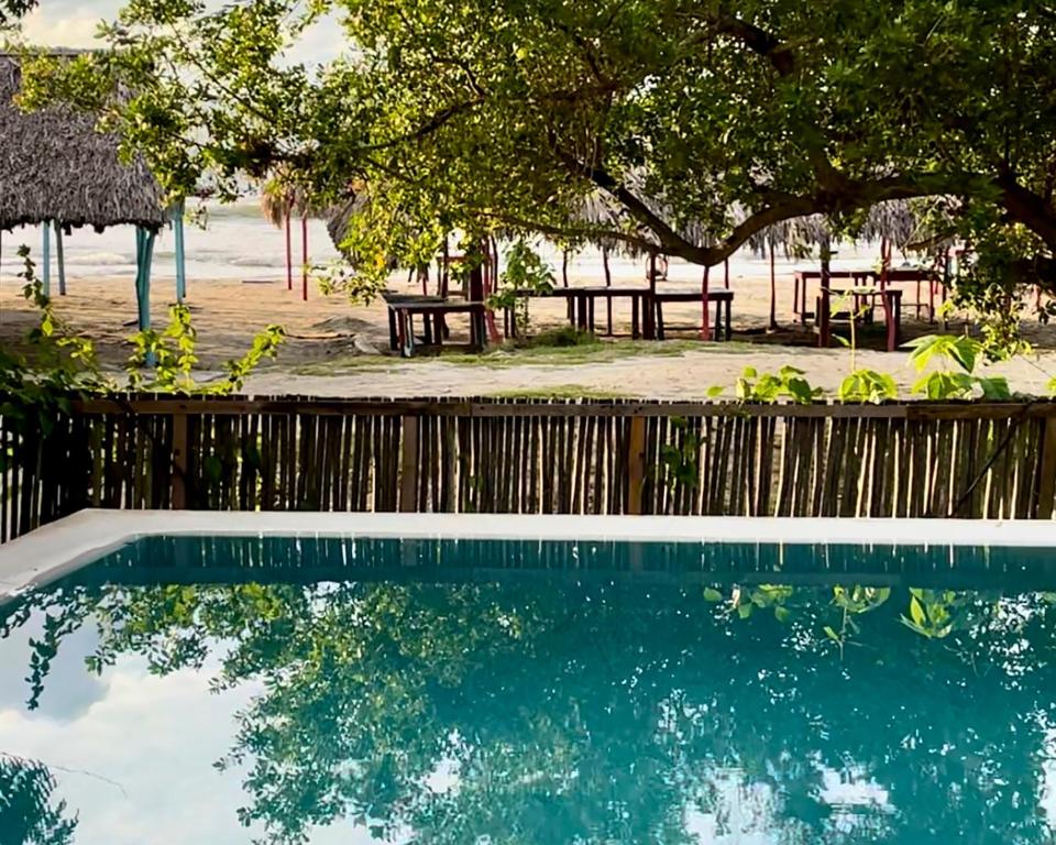 a swimming pool with a picnic table and a tree at MuchoSur Manzanillo CTG in Cartagena de Indias