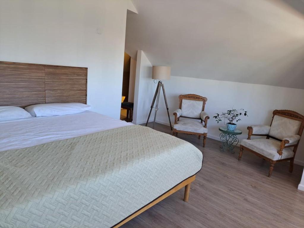 1 dormitorio con 1 cama y 2 sillas en Antigua Viña Bed and Breakfast, en Viña del Mar