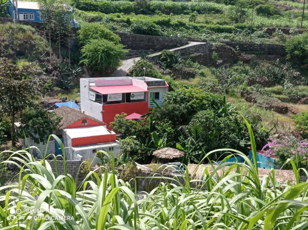 a small house in the middle of a garden at Recanto D'nha Fana in Porto Novo