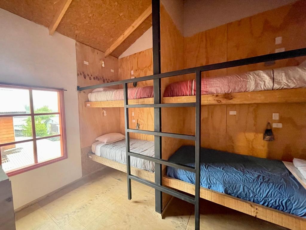 Foto sihtkohas Futaleufú asuva majutusasutuse Mirlo’s hostel galeriist