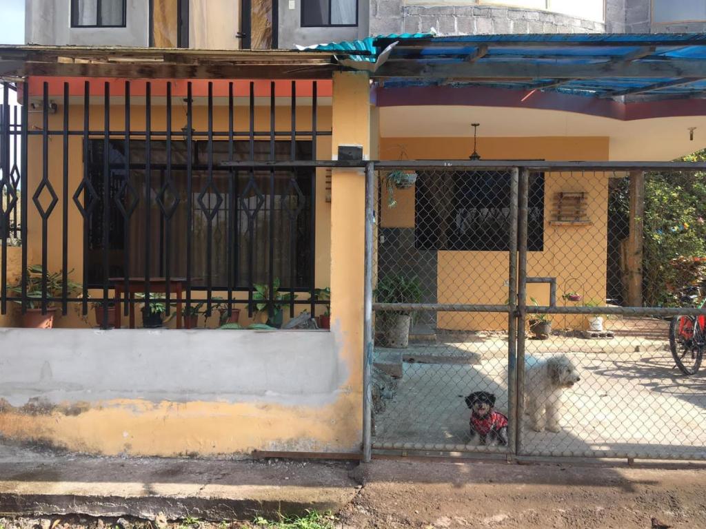 zwei Hunde, die hinter einem Zaun vor einem Haus sitzen in der Unterkunft Casa de Alojamiento Muyuyo House in Puerto Baquerizo Moreno