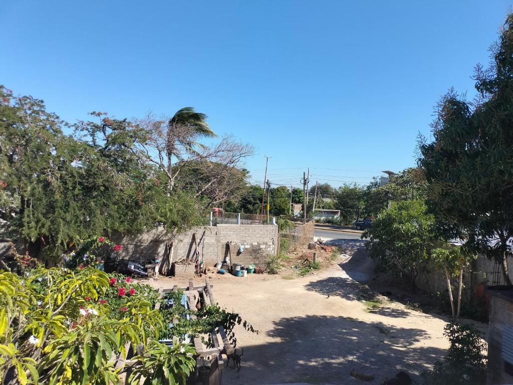 Elle offre une vue sur un jardin arboré et une route. dans l'établissement Lidxi Stagabeñe, à Juchitán de Zaragoza