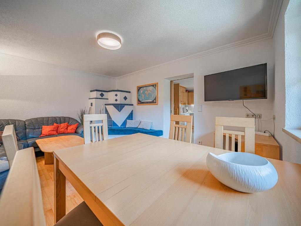 Televízia a/alebo spoločenská miestnosť v ubytovaní Apartment Leiter