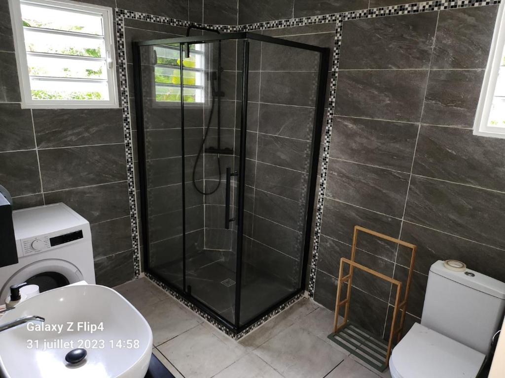 een douche met een glazen deur in de badkamer bij Patoulocation in La Trinité