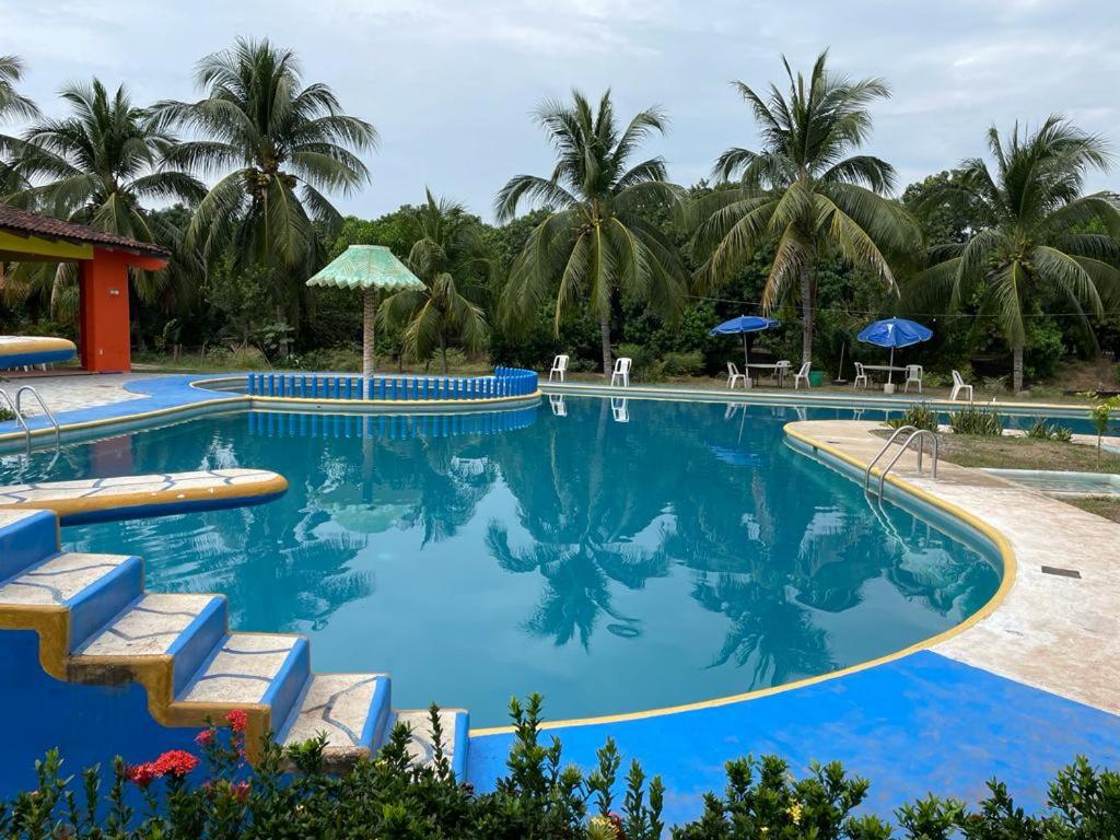 a large swimming pool with blue water and palm trees at Hotel Tamarindos in Zihuatanejo