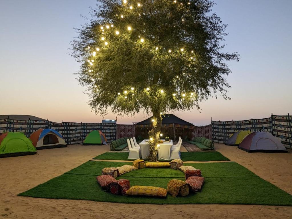 Luxury Overnight stay in Desert Safari Campsite, with dinner, adventure, entertainments, and transfers في دبي: مجموعة من الخيام وشجرة مع أضواء