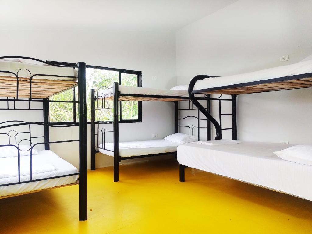 Amalaya Hostel في ريستريبو: غرفة بها ثلاثة أسرة بطابقين ونافذة
