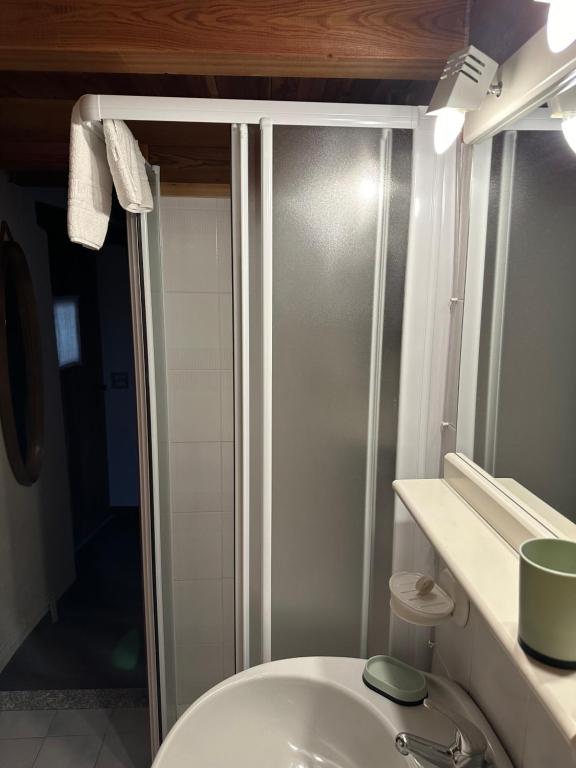 łazienka z prysznicem i białą toaletą w obiekcie Casa Vacanze Roncaiola w mieście Tirano