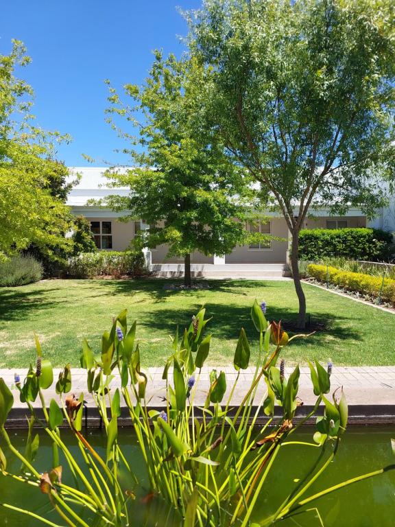 un jardin avec un arbre et un bâtiment dans l'établissement The White Bloom Villa, à Langebaan