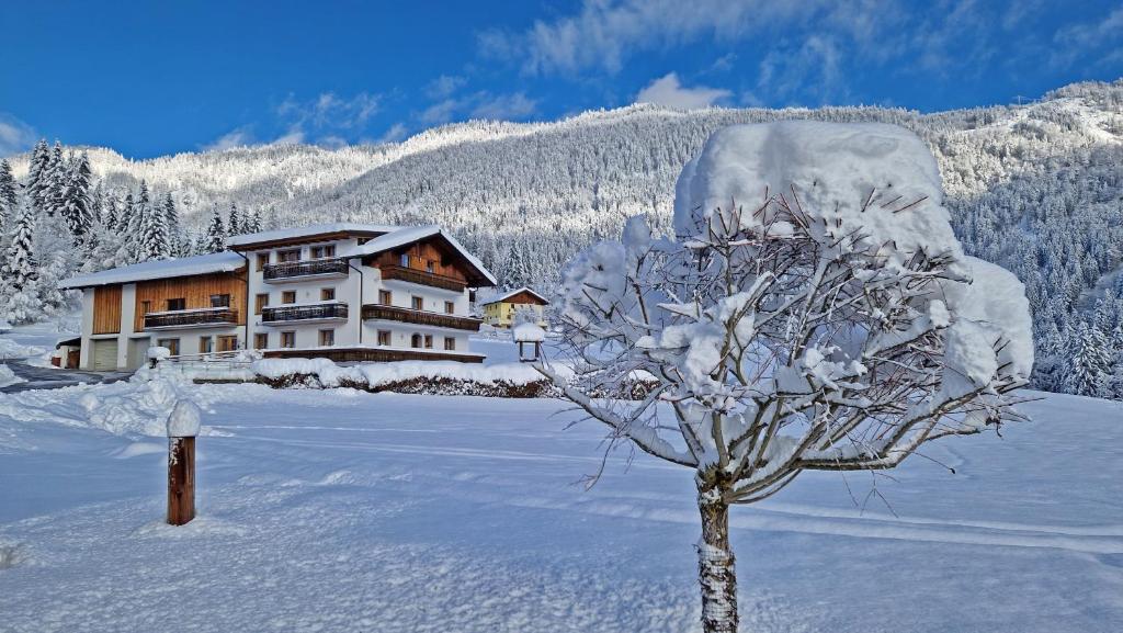 a house in the snow with a tree in the foreground at Moosgut in Abtenau