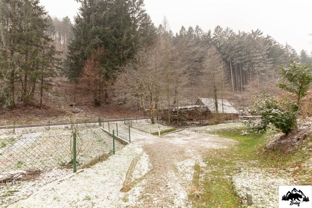 Příroda nedaleko apartmánu