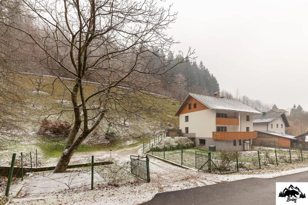 Příroda nedaleko apartmánu