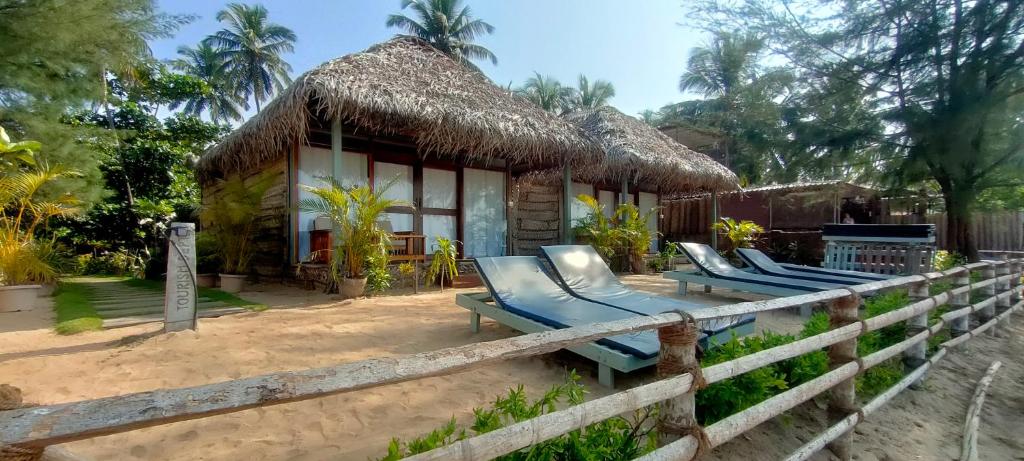 a resort with blue lounge chairs and a building at The Coast Beach Resort in Agonda