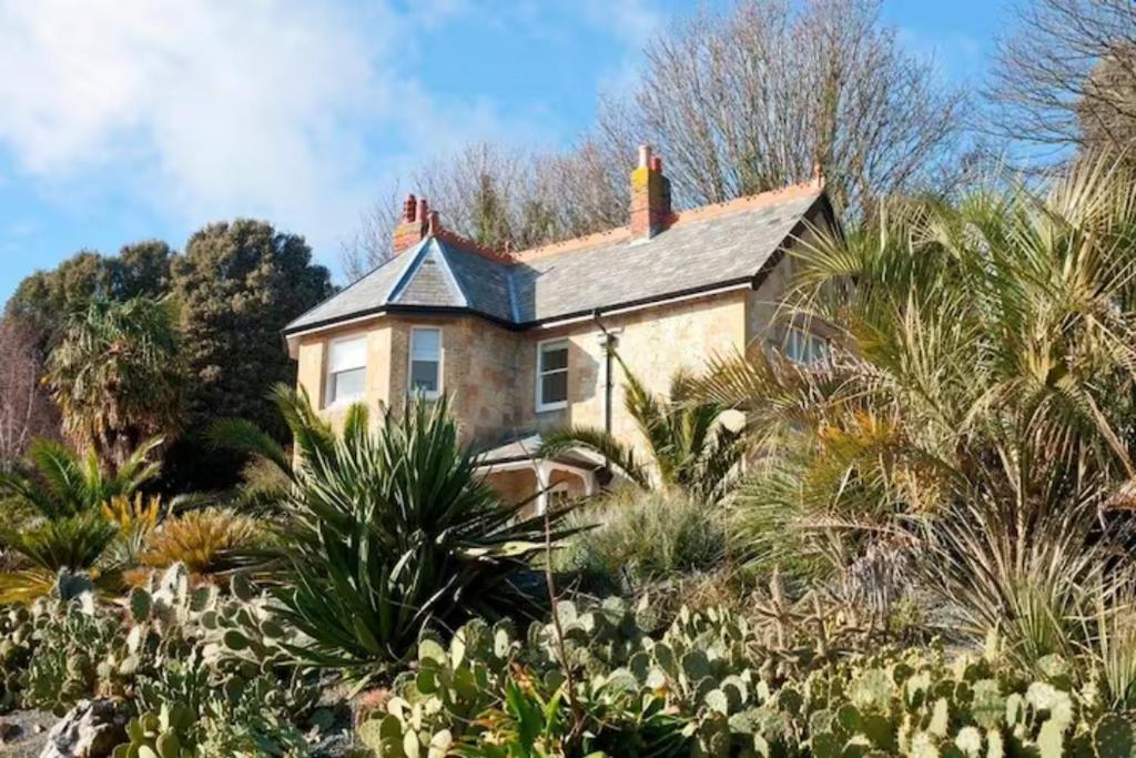 a house on the side of a hill with plants at Signal Point Cottage in Ventnor