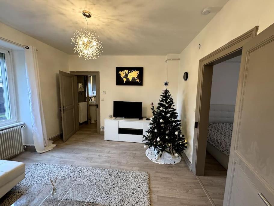 Charmant appartement de 3 pièces, Colmar – photo 5
