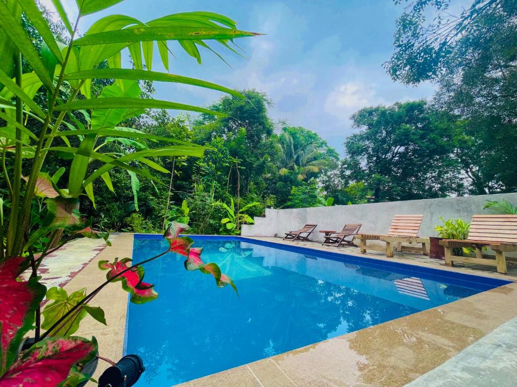a swimming pool in a resort with two chairs at Gangadiya Lodge in Sigiriya