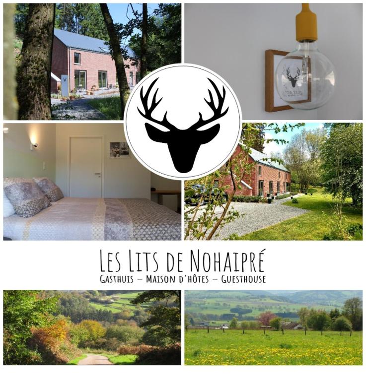 Fotografie z fotogalerie ubytování B&B Les Lits de Nohaipré v destinaci Rendeux