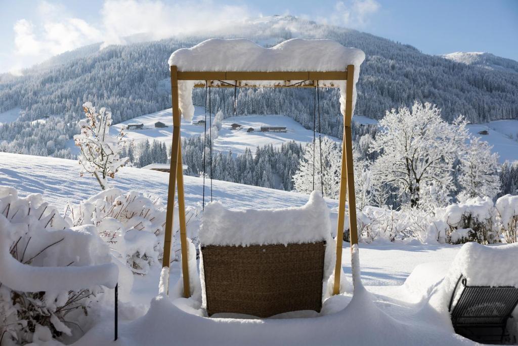 Alpbacherhof Mountain & Spa Resort v zimě
