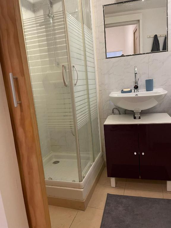une salle de bain avec douche et lavabo dans l'établissement Duo Mario Roustan, à Sète