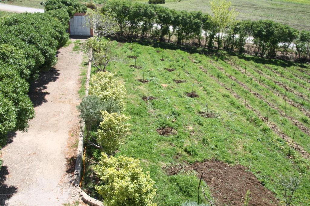 Tahla Garden - Habitación Doble O Gemela