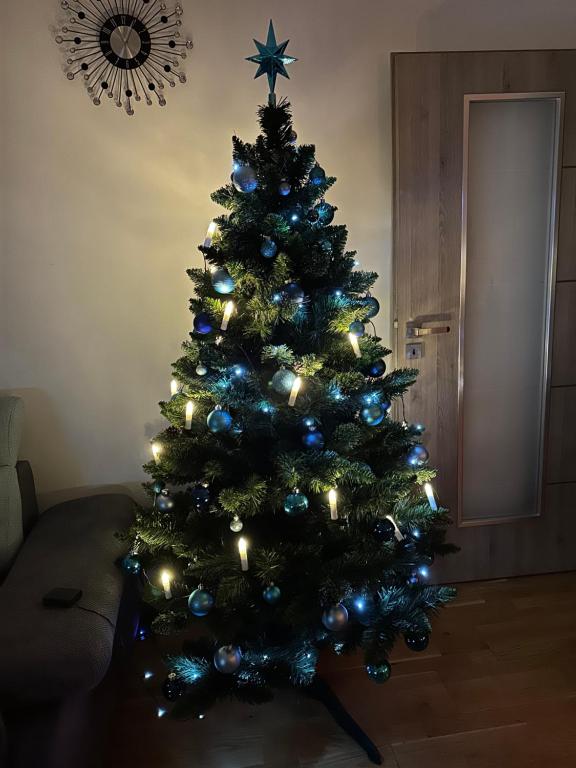 Fotografie z fotogalerie ubytování Apartmán Jitka - Slunečná louka v Černém Dole