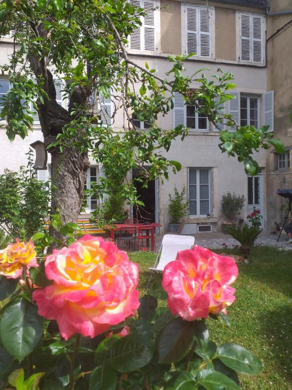 Ogród w obiekcie La Cour du Château