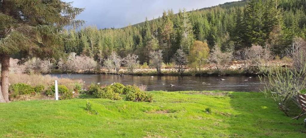 a river with a grassy field next to a forest at Self catering flat in heart of Scottish Highlands in Garve