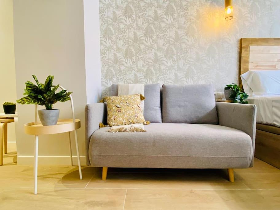 un sofá gris en una sala de estar con una planta en Cabanyal Room 3 - Small & Stylish by the Beach en Valencia