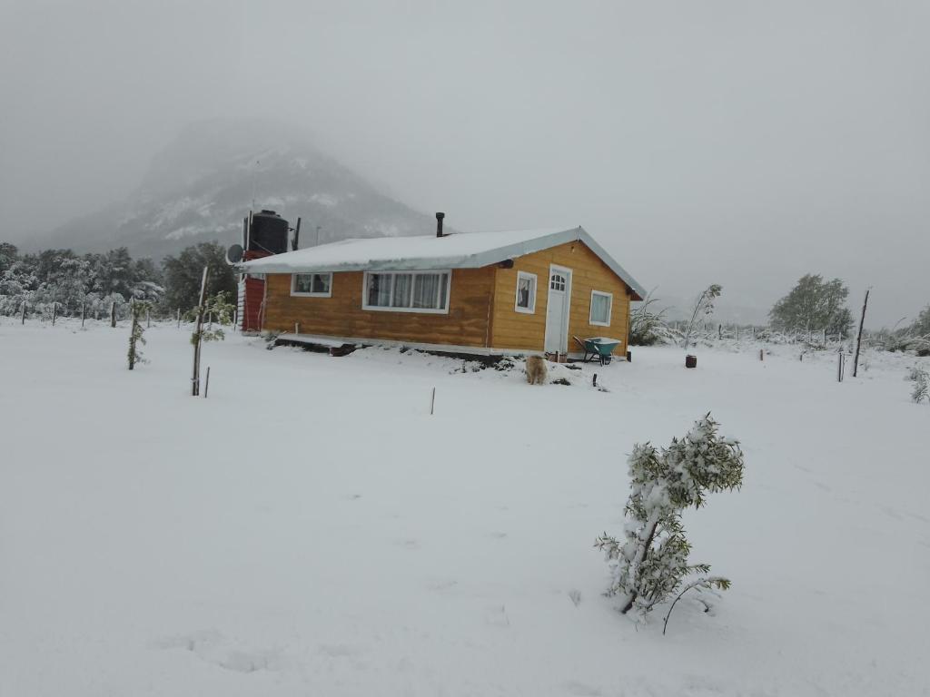 Cabaña de madera en un campo cubierto de nieve en Rinconcito de CHABELA en Junín de los Andes